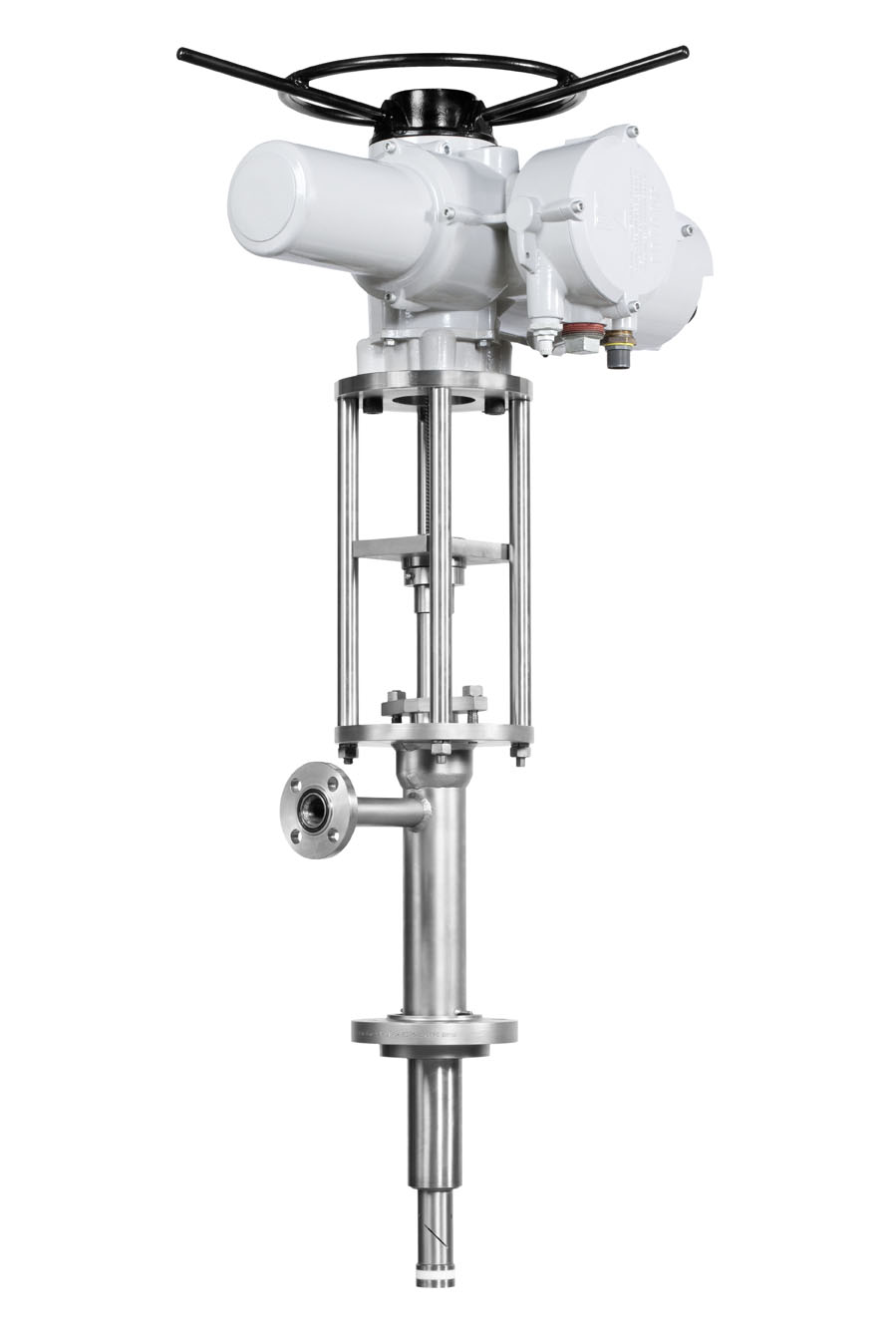 D313e1965184a256a666230374c93fb9